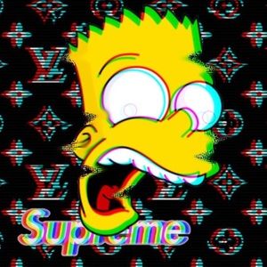 Meet your Posher, Rocco